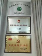 我来告诉你，我们临西县郑湾村优秀基层党组织的事迹