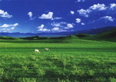 塞罕坝：绿色发展奇迹 生态旅游样板