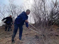 邢台龙泉寺乡正把“小酸枣”做成大产业