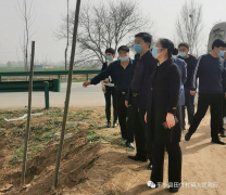 平乡县田付村镇人居环境整治活动见成效