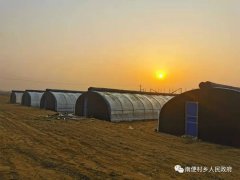 南便村乡实施2021年度扶持壮大村集体经济-东井村粮蔬种植大棚项目