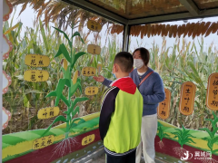 中华汉字田园呈现优美和谐的田园景观